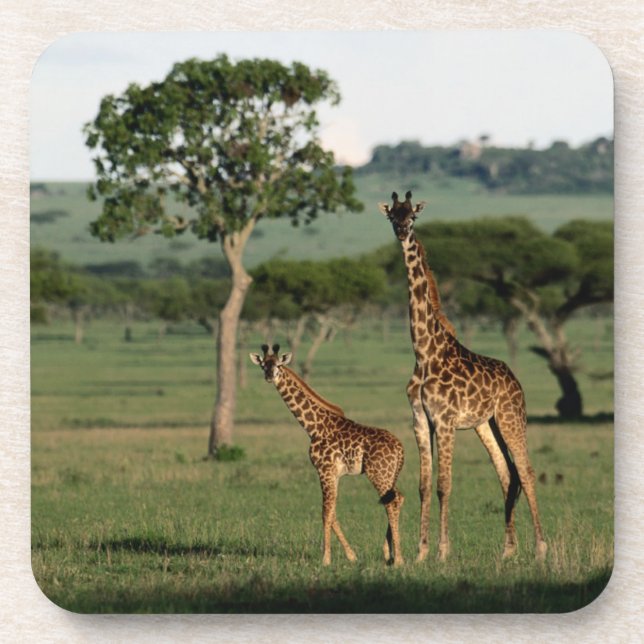Cutest Baby Animals | Giraffe Calf & Mama Beverage Coaster (Front)