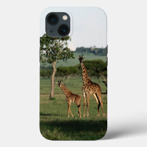Cutest Baby Animals  Giraffe Calf  Mama iPhone 13 Case
