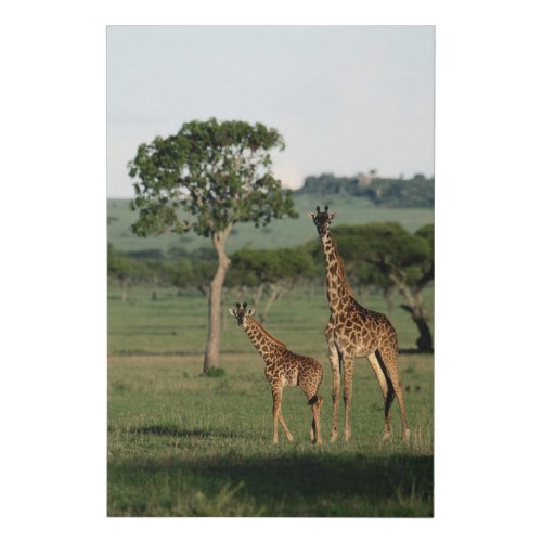 Cutest Baby Animals  Giraffe Calf  Mama Faux Canvas Print