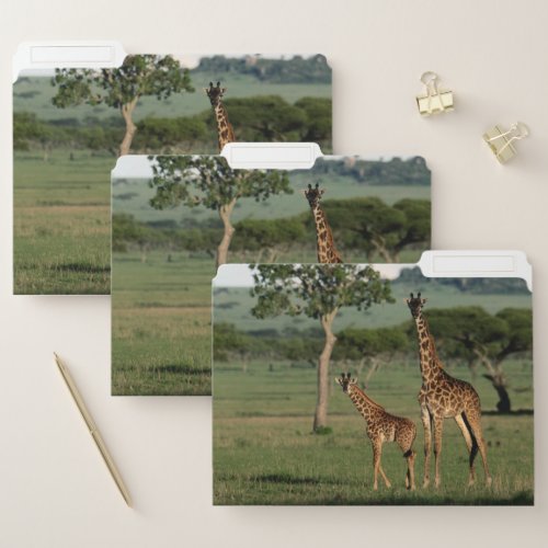 Cutest Baby Animals  Giraffe Calf  Mama File Folder