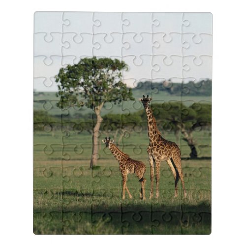 Cutest Baby Animals  Giraffe Calf  Mama Jigsaw Puzzle