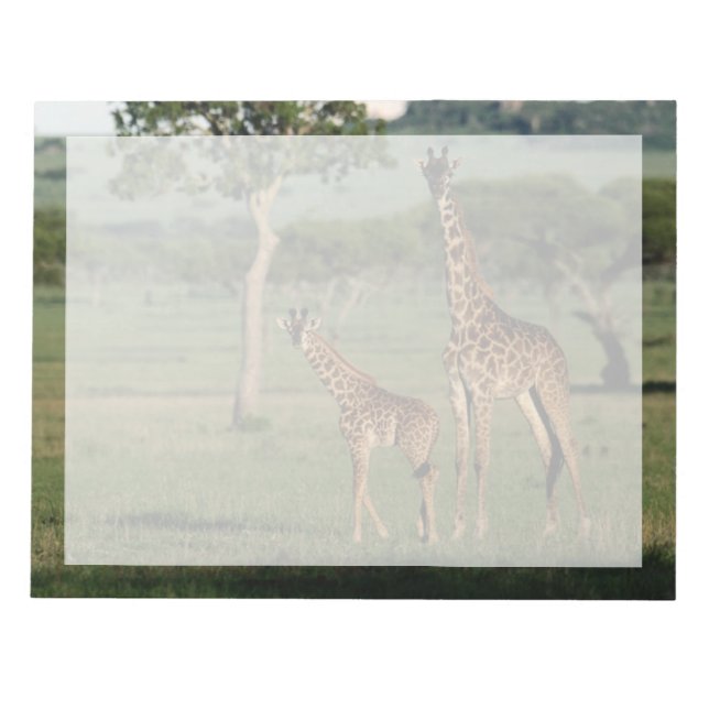 Cutest Baby Animals | Giraffe Calf & Mama Notepad (Front)