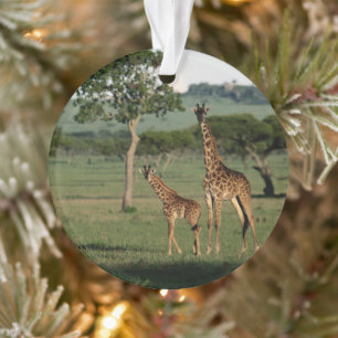 Cutest Baby Animals   Giraffe Calf & Mama Ornament