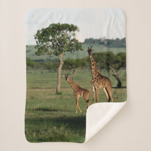 Cutest Baby Animals Giraffe Calf & Mama Sherpa Blanket