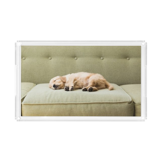 Cutest Baby Animals | Golden Retriever Puppy 2 Acrylic Tray (Front)