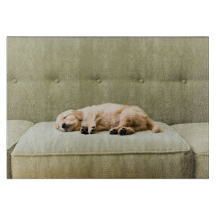 Cutest Baby Animals Golden Retriever Puppy 2 Cutting Board