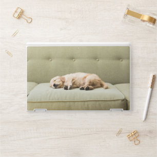 Cutest Baby Animals Golden Retriever Puppy 2 HP Laptop Skin