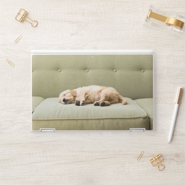Cutest Baby Animals | Golden Retriever Puppy 2 HP Laptop Skin (Desk)
