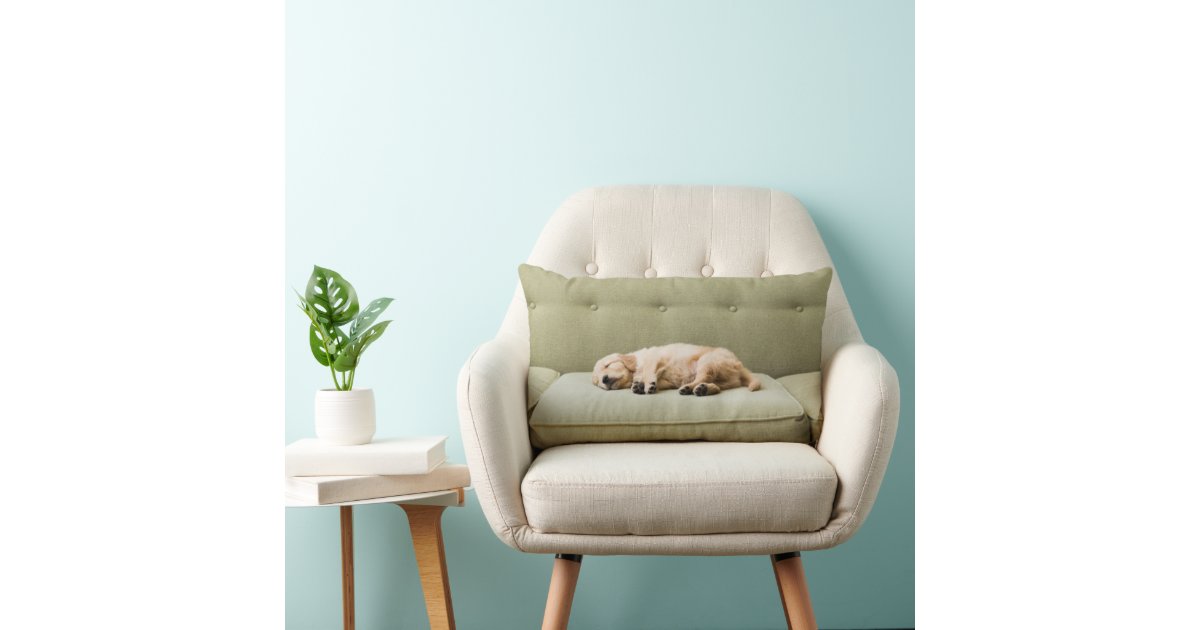 Cutest Baby Animals Golden Retriever Puppy 2 Lumbar Pillow Zazzle