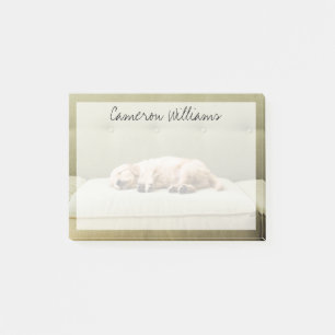 Cutest Baby Animals Golden Retriever Puppy 2 Post-it Notes