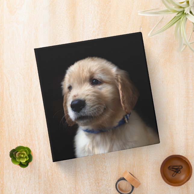 Cutest Baby Animals | Golden Retriever Puppy 3 Ring Binder (In Situ)