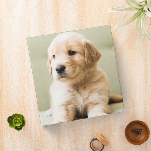 Cutest Baby Animals | Golden Retriever Puppy 3 Ring Binder (In Situ)
