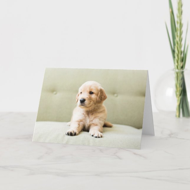 Cutest Baby Animals | Golden Retriever Puppy Card (Front)