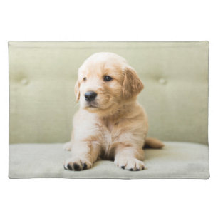 Cutest Baby Animals   Golden Retriever Puppy Cloth Placemat