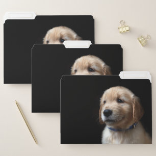 Cutest Baby Animals   Golden Retriever Puppy File Folder