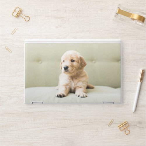 Cutest Baby Animals  Golden Retriever Puppy HP Laptop Skin