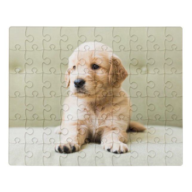 Cutest Baby Animals | Golden Retriever Puppy Jigsaw Puzzle (Puzzle Horizontal)