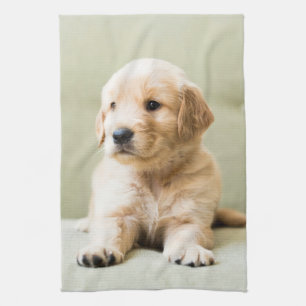 Cutest Baby Animals Golden Retriever Puppy Kitchen Towel