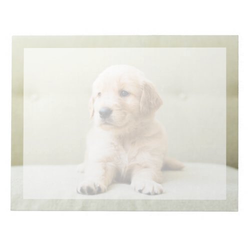 Cutest Baby Animals  Golden Retriever Puppy Notepad
