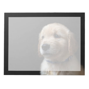 Cutest Baby Animals Golden Retriever Puppy Notepad