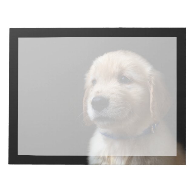 Cutest Baby Animals | Golden Retriever Puppy Notepad (Front)