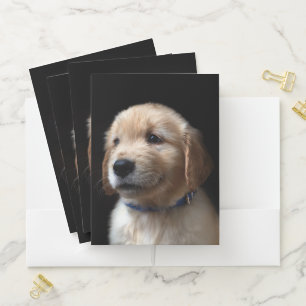 Cutest Baby Animals   Golden Retriever Puppy Pocket Folder