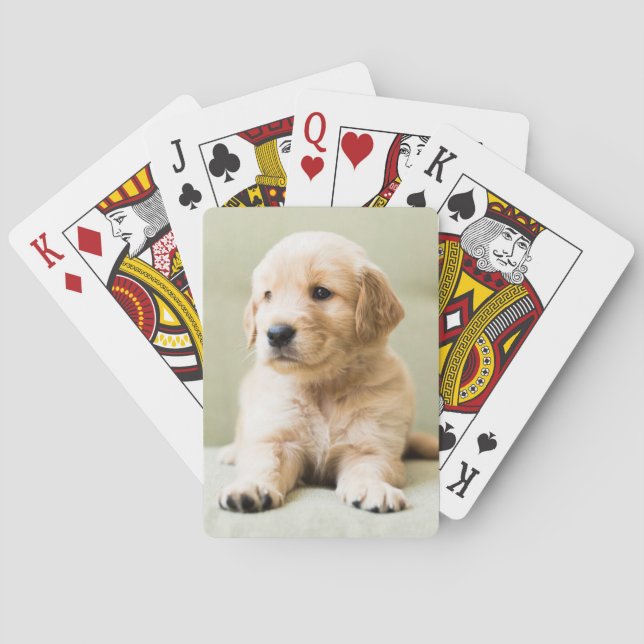 Cutest Baby Animals | Golden Retriever Puppy Poker Cards (Back)
