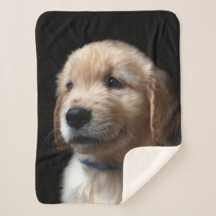 Cutest Baby Animals   Golden Retriever Puppy Sherpa Blanket
