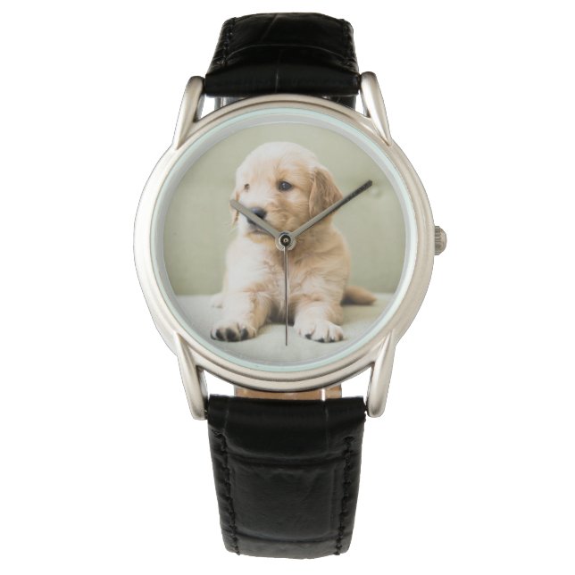 Cutest Baby Animals | Golden Retriever Puppy Watch (Front)