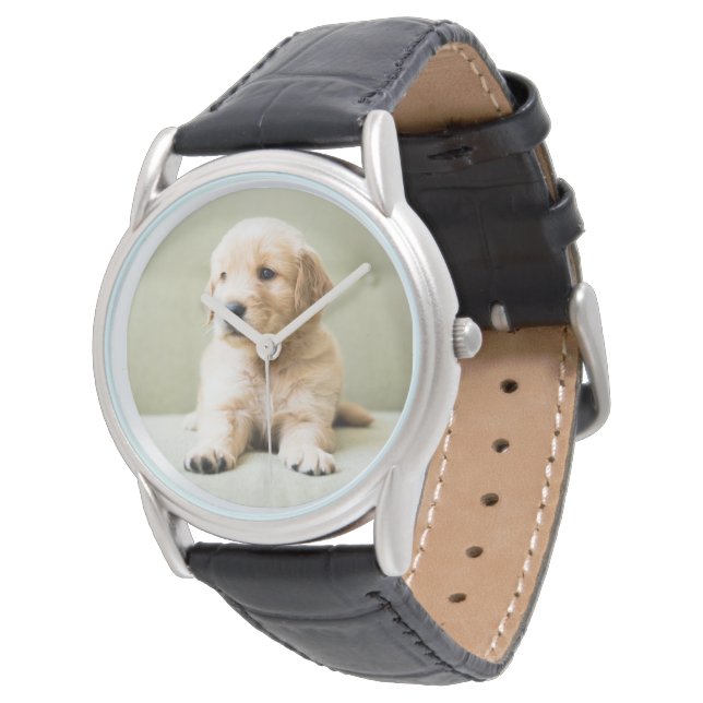 Cutest Baby Animals | Golden Retriever Puppy Watch (Angled)