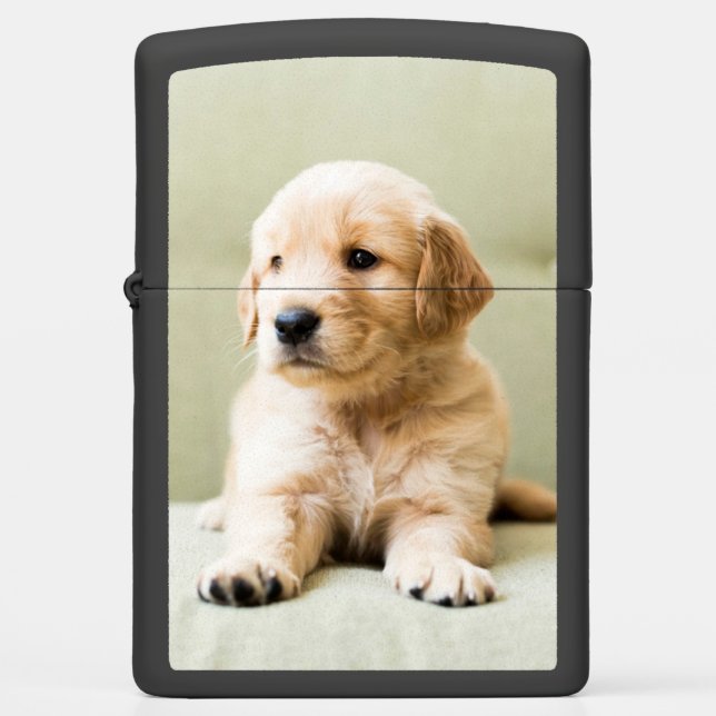 Cutest Baby Animals | Golden Retriever Puppy Zippo Lighter (Front)