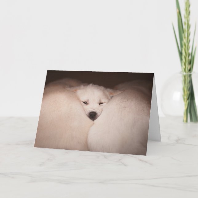 Cutest Baby Animals | Golden Retriever Snuggle Card (Front)