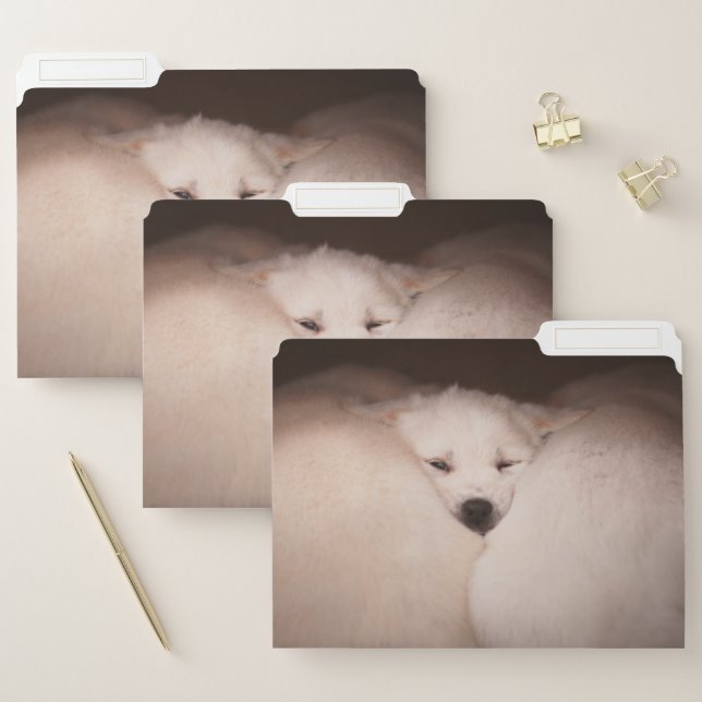 Cutest Baby Animals | Golden Retriever Snuggle File Folder (Set)