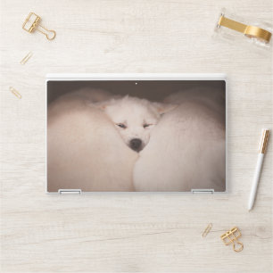 Cutest Baby Animals   Golden Retriever Snuggle HP Laptop Skin