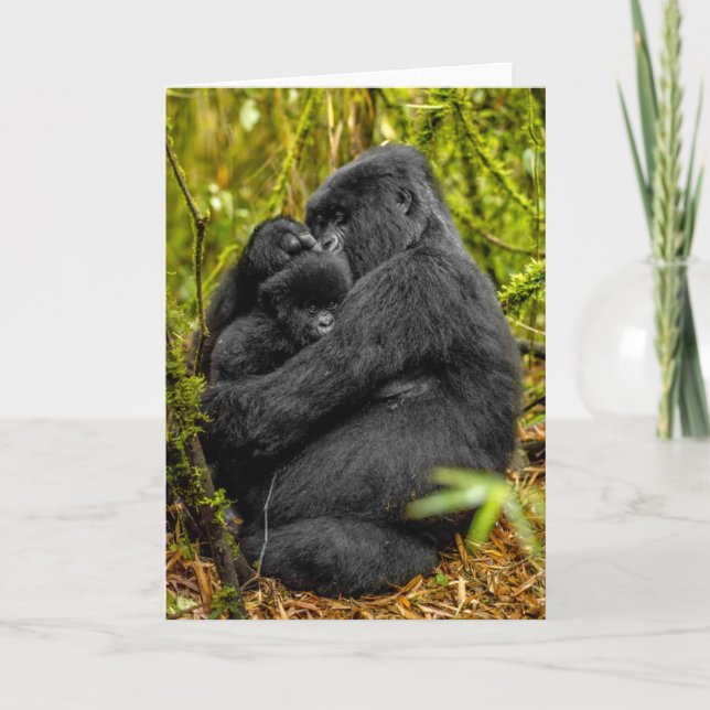 Cutest Baby Animals | Gorilla & Baby Card (Front)