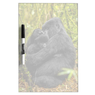Cutest Baby Animals   Gorilla & Baby Dry Erase Board