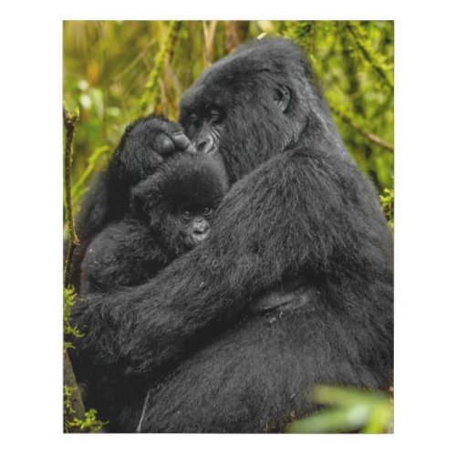 Cutest Baby Animals  Gorilla  Baby Faux Canvas Print