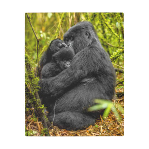 Cutest Baby Animals   Gorilla & Baby Metal Print