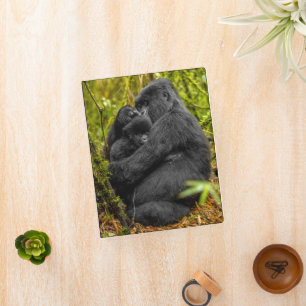 Cutest Baby Animals   Gorilla & Baby Mini Binder