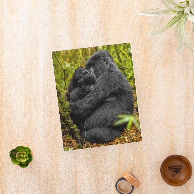 Cutest Baby Animals | Gorilla & Baby Mini Binder (InSitu)