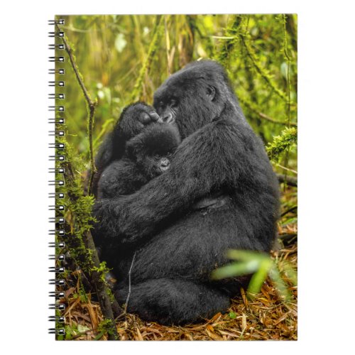 Cutest Baby Animals  Gorilla  Baby Notebook