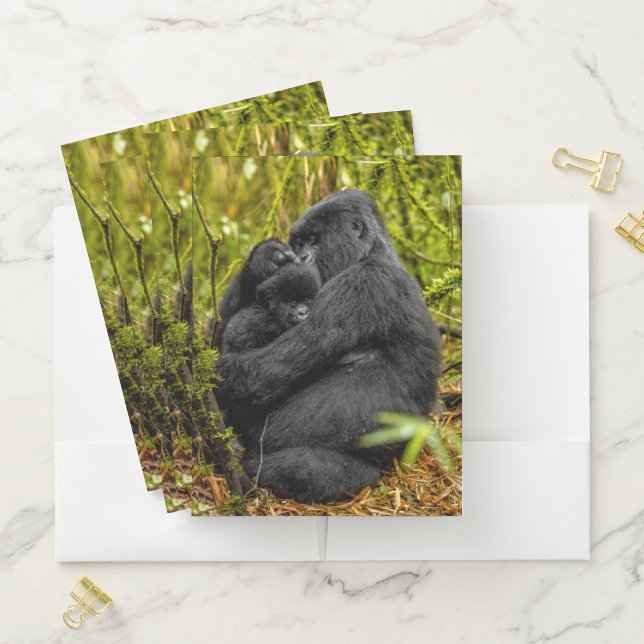 Cutest Baby Animals | Gorilla & Baby Pocket Folder (In Situ)