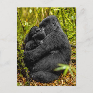 Cutest Baby Animals | Gorilla & Baby Postcard