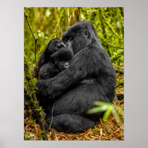Cutest Baby Animals   Gorilla & Baby Poster