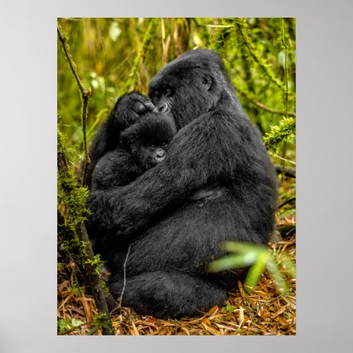Cutest Baby Animals  Gorilla  Baby Poster