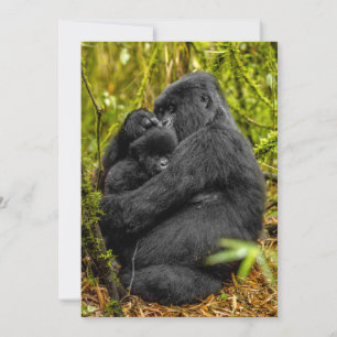 Cutest Baby Animals Gorilla & Baby Thank You Card