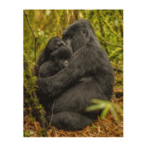 Cutest Baby Animals, Infant Mountain Gorilla Cutting Board