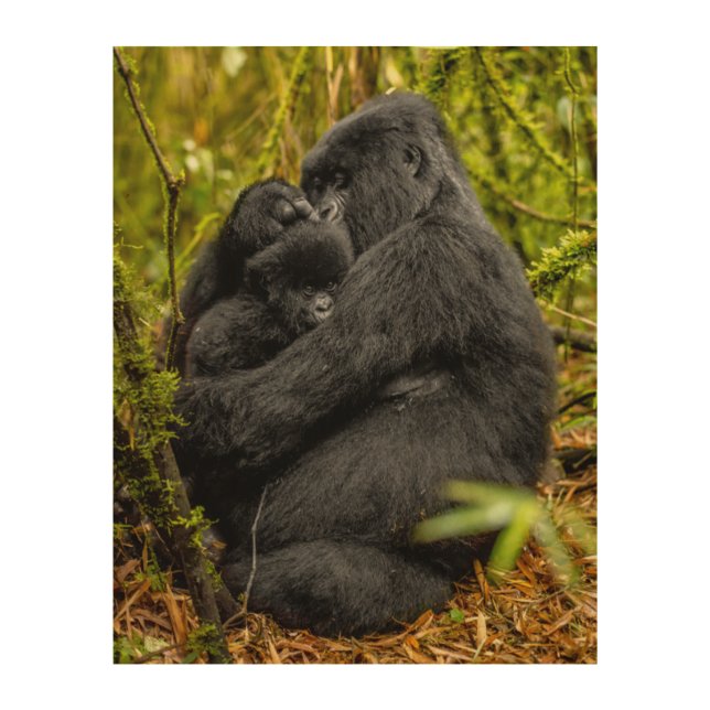 Cutest Baby Animals | Gorilla & Baby Wood Wall Art (Front)