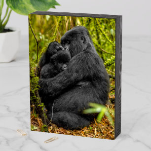 Cutest Baby Animals   Gorilla & Baby Wooden Box Sign