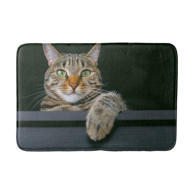 Cutest Baby Animals | Gray Tabby Cat Face Bath Mat (Front)